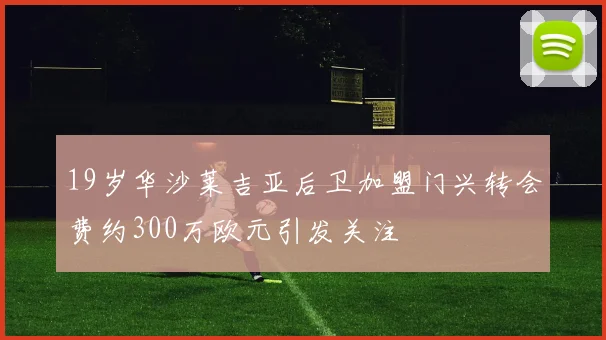 19岁华沙莱吉亚后卫加盟门兴转会费约300万欧元引发关注
